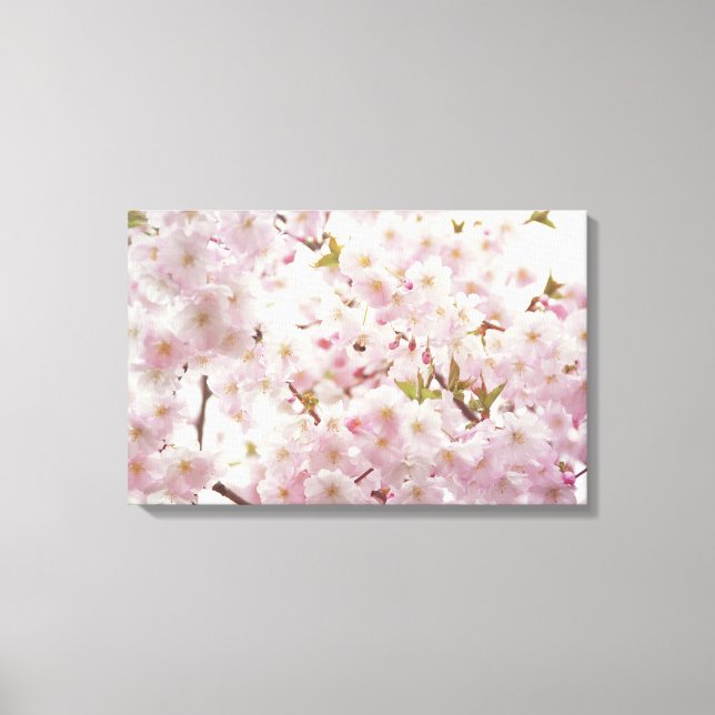 Romantic Cherry Blossoms and Little Bee Canvas (Front)