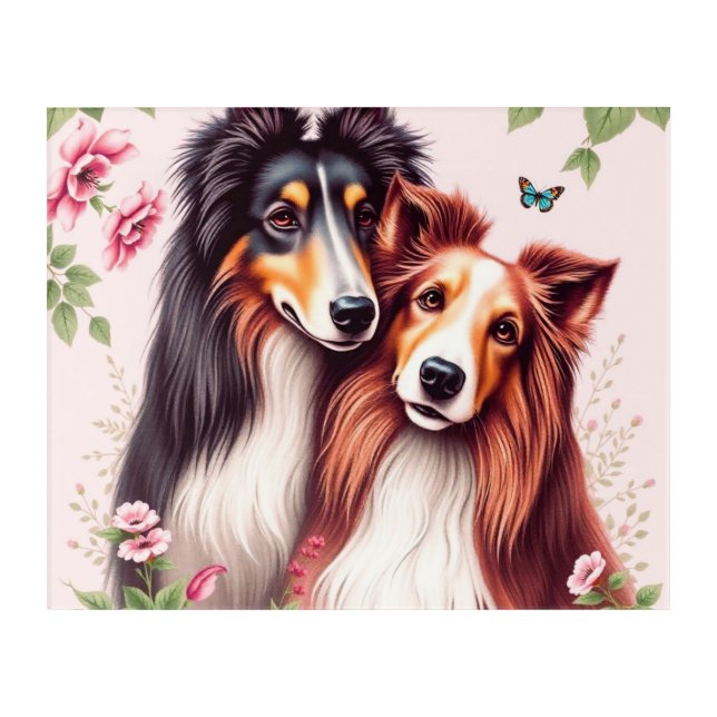 Romantic Collie Daze  Acrylic Print (Front)