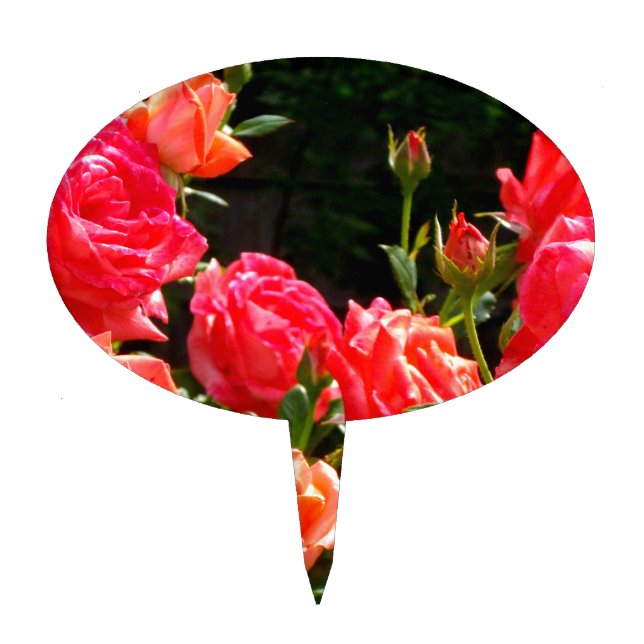 Romantic Coral roses Cake Topper (Front)