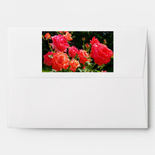 Romantic Coral roses Envelope