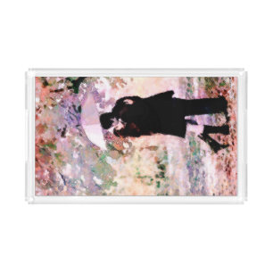 Romantic Couple in Love Kissing in The Rain  Acrylic Tray