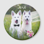 Romantic couple of dogs geting married magnet<br><div class="desc">This amazing art creation of a Romantic couple of dogs,  Swiss White Shepherd getting married  is a wonderful gift for your loved one or relative. It's perfect for  an Engagement or a Wedding.</div>