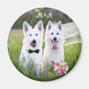 Romantic couple of dogs geting married magnet