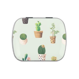 Romantic Cute succulent cactus on mint background Jelly Belly Candy Tin