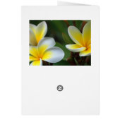 romantic date blossoms rsvp colorful chic (Back)