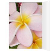 romantic date blossoms rsvp colorful chic (Inside (Left))