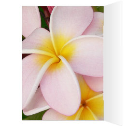 romantic date blossoms rsvp colorful chic