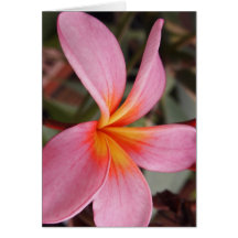 romantic date blossoms rsvp colorful chic