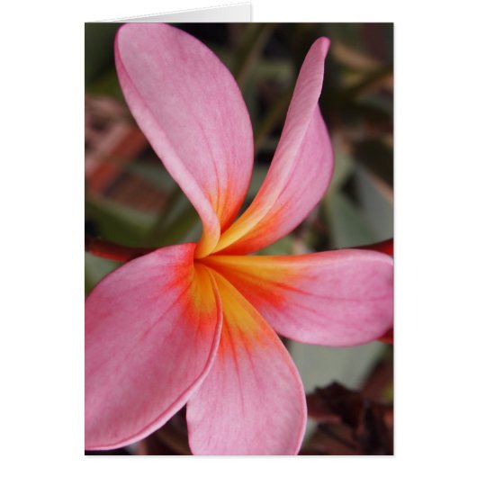 romantic date blossoms rsvp colorful chic (Front)