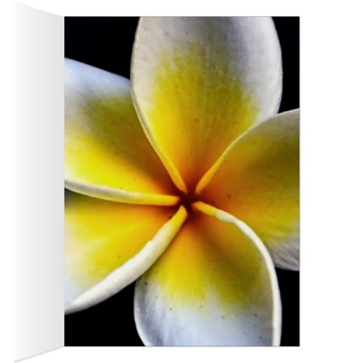 romantic date blossoms rsvp colorful chic (Inside (Right))