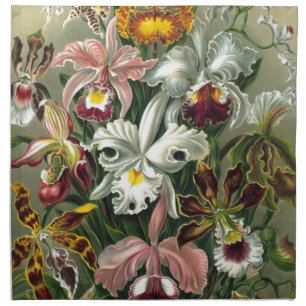 romantic date bridal floral Haeckel Orchids Cloth Napkin