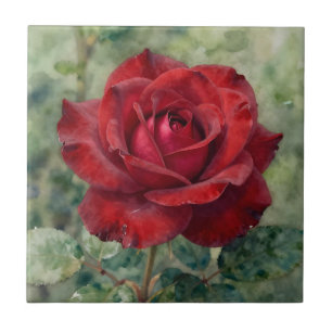 Romantic Deep Red Rose Bloom Ceramic Tile