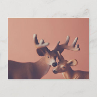 Romantic Deer Postcard