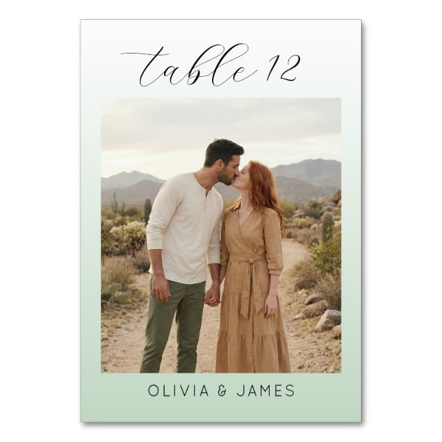 Romantic Earthy Minimalist Photo Table Number (Front)