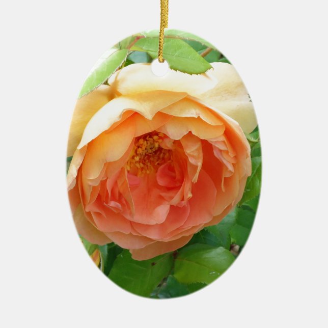 Romantic elegant  Orange Rose photo Ceramic Ornament (Front)