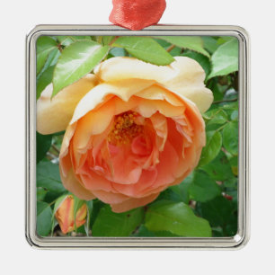 Romantic elegant  Orange Rose photo Metal Ornament