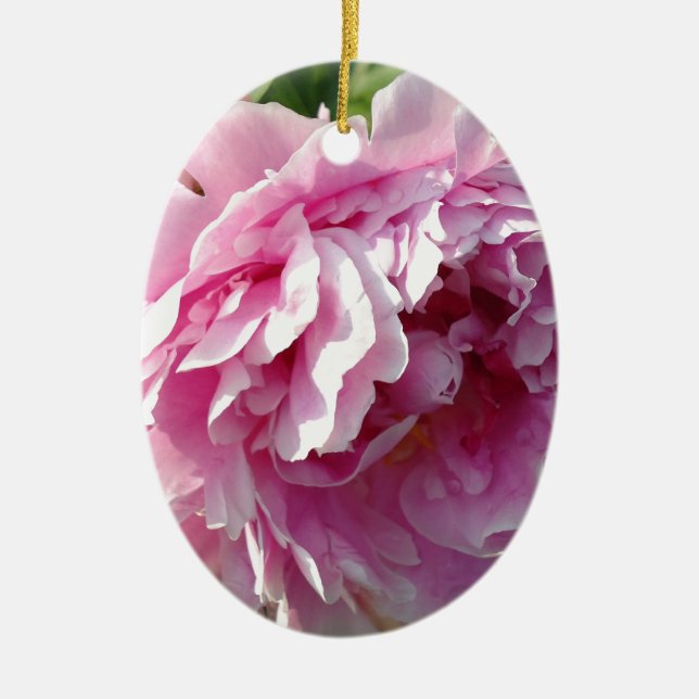 Romantic elegant pink floral Pink Peonies Ceramic Ornament (Front)
