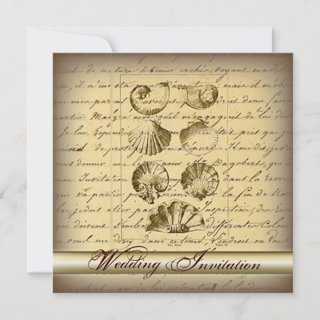 Romantic Elegant Seashell Beach Wedding Invitation (Front)