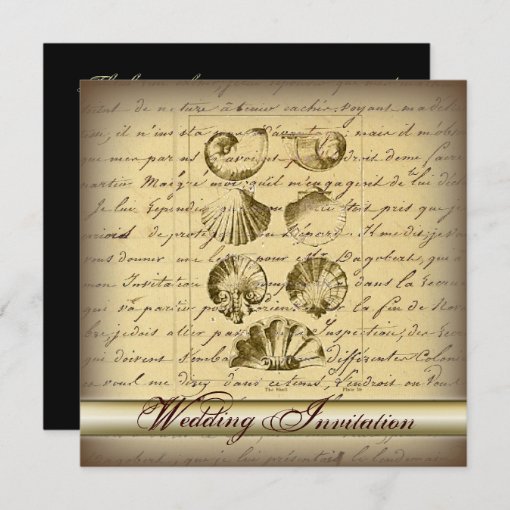 Romantic Elegant Seashell Beach Wedding Invitation | Zazzle