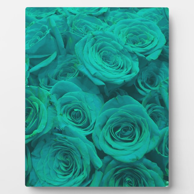 Romantic elegant teal - green  roses plaque (Front)