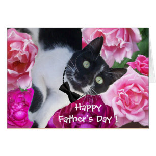 ROMANTIC FATHER'S DAY CAT WITH PINK ROSES CARDS