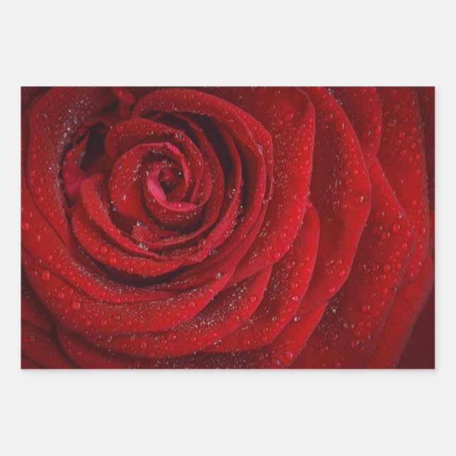Romantic Floral Red Rose Wrapping Paper Sheets (Front)