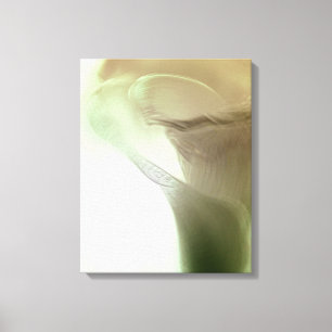 Romantic Flower Detail Canvas Print