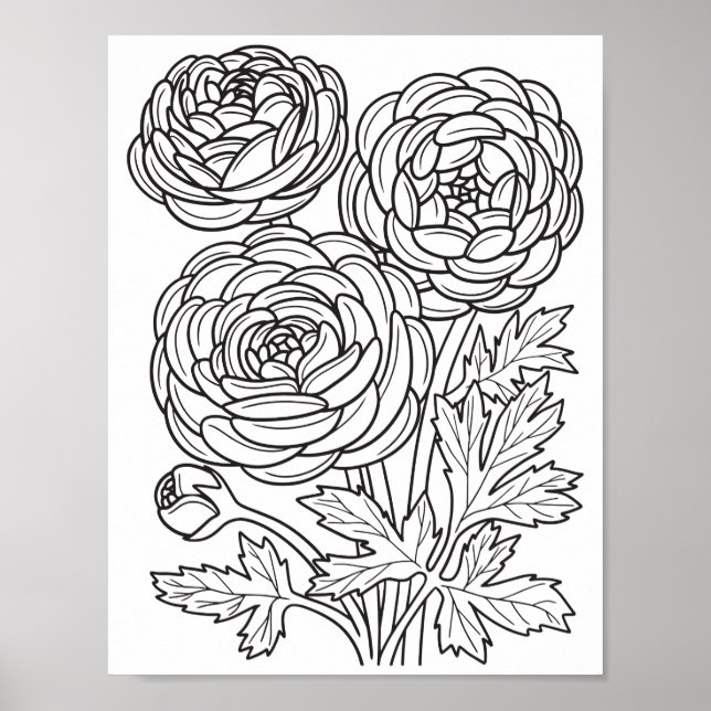 Romantic Flowers - Advanced Coloring Page Poster (Front)