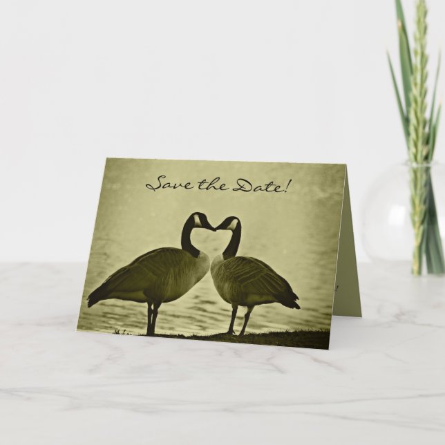Romantic Geese Save the Date Card (Front)