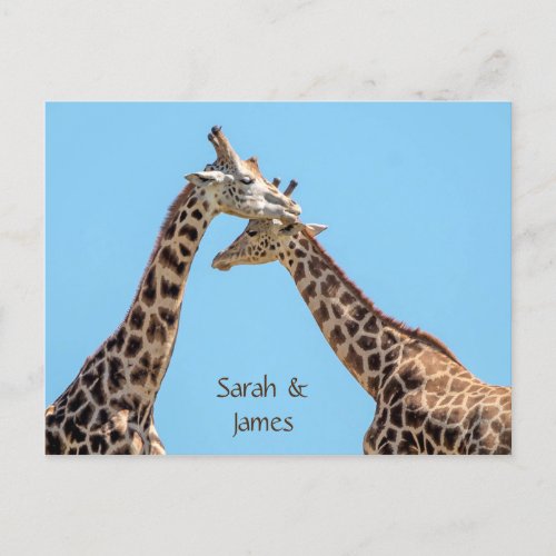 Romantic Giraffe Hugs Personalized Postcard