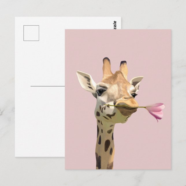 Romantic Giraffe Pink Tulip For Loved One Postcard (Front/Back)