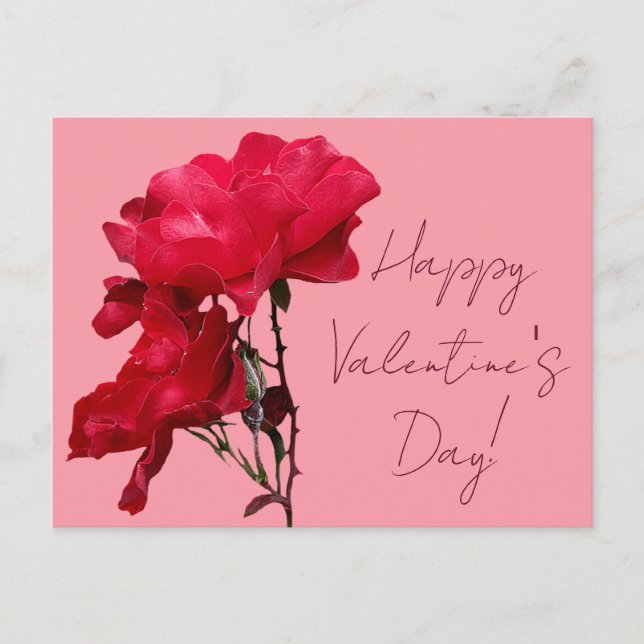 Romantic Happy Valentine red rose flowers floral  Postcard (Front)