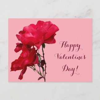 Romantic Happy Valentine red rose flowers floral Postcard