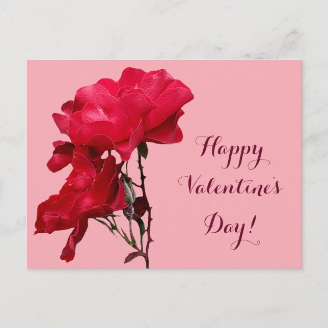 Romantic Happy Valentine red rose flowers floral  Postcard (Front)