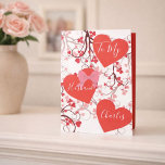 Romantic Hearts for Him Valentine’s Day  Holiday Card