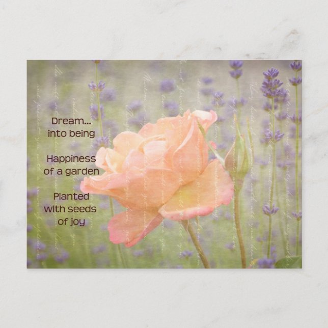 Romantic Lavender and Rose Postcard (Front)