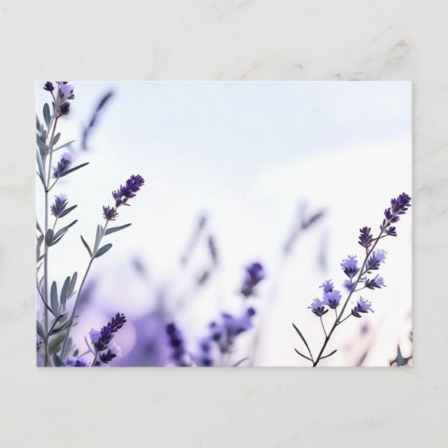 Romantic Lavender Watercolor Postcard (Front)