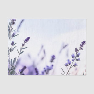 Romantic Lavender Watercolor Tissue Paper