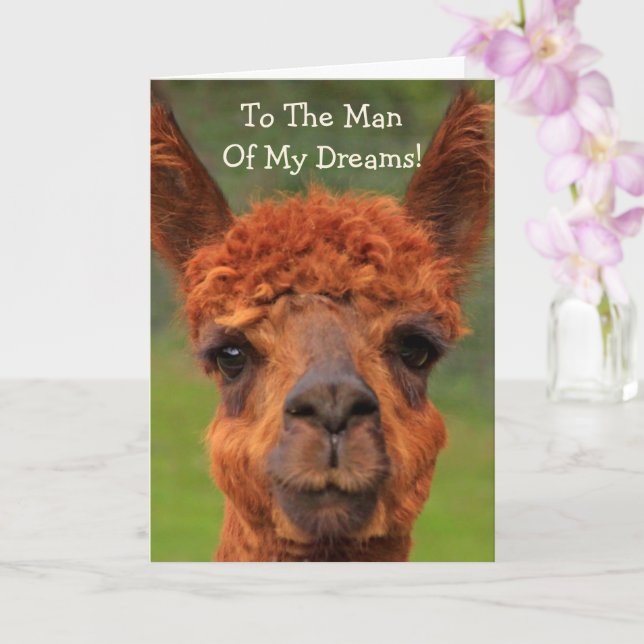 Romantic Llama "Man Of My Dreams" Birthday Card (Orchid)