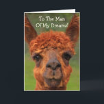 Romantic Llama "Man Of My Dreams" Birthday Card<br><div class="desc">He really is the man of your dreams,  right? Show him how much you love him with this amusing llama card. A few laughs are always romantic! Personalize the message and have fun. Thanks for looking. Photo ©Christine Greenspan</div>