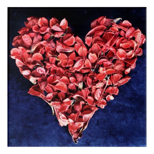 Romantic Love Rose Petal Red Heart Acrylic Print