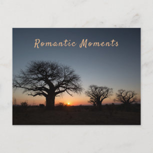 Romantic Moments Sunset Sacred Baobabs photo text  Postcard