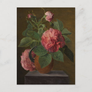 Romantic Old English Roses Postcard