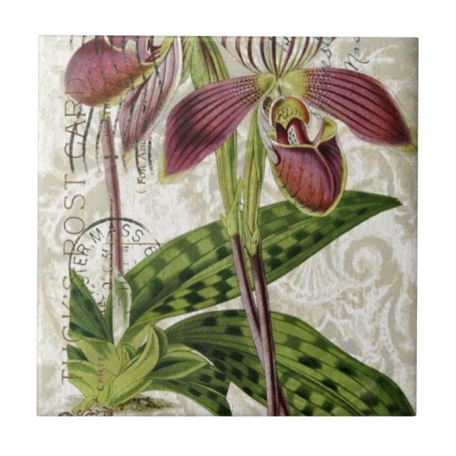 romantic parisian tropical french botanical orchid ceramic tile (Front)
