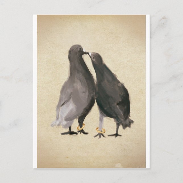 Romantic Pigeons Postcard (Front)