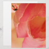 Romantic Pink Butterfly Tulip (Front/Back)