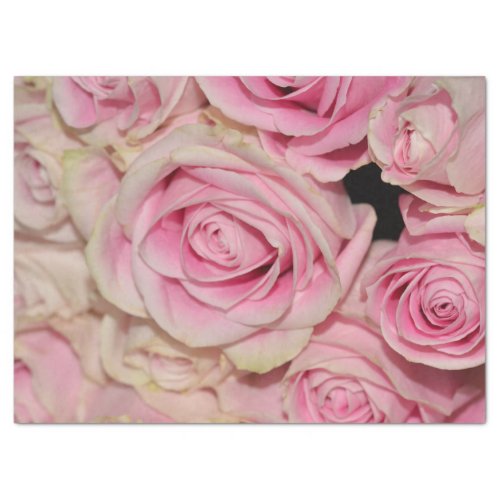 Romantic Pink Cream Roses Tissue Paper