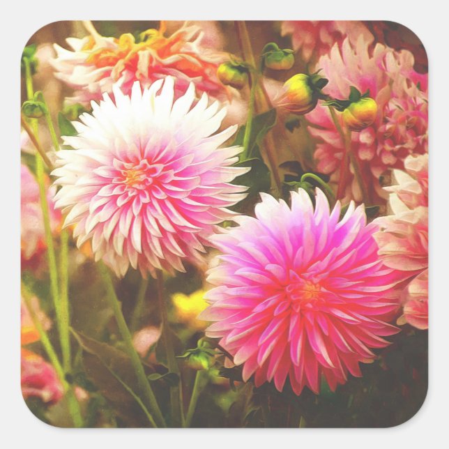 Romantic Pink Dahlia Garden Square Sticker (Front)