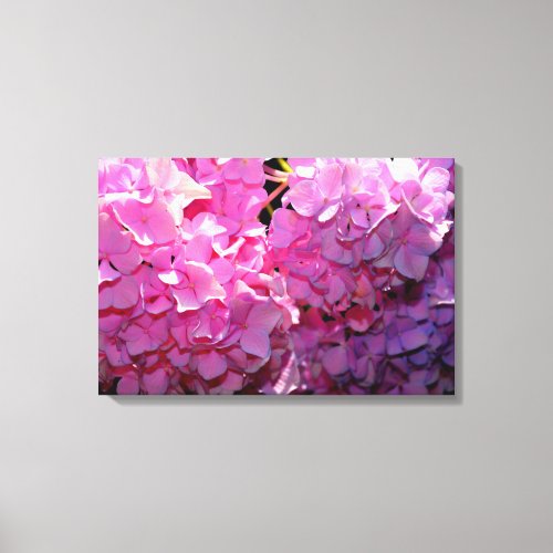 Romantic pink floral elegant hydrangeas  canvas print
