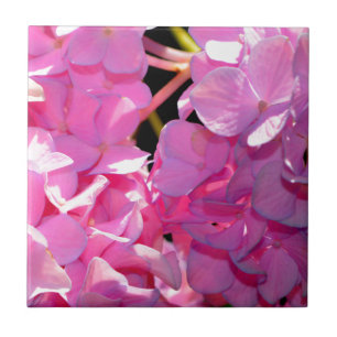 Romantic pink floral elegant hydrangeas ceramic tile